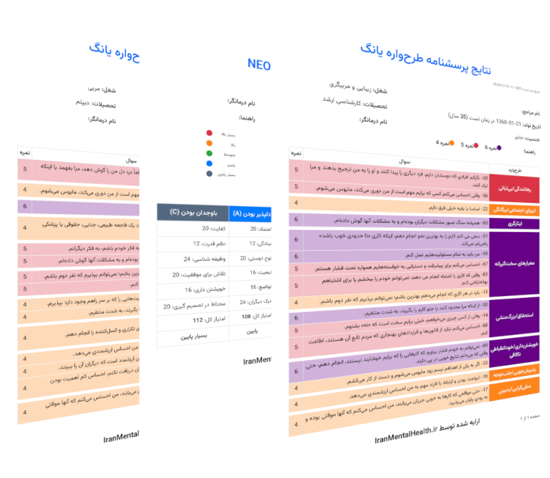 نمونه نتایج تحلیل تست پلتفرم منتالتو - Mentaleto - IranMentalHealth